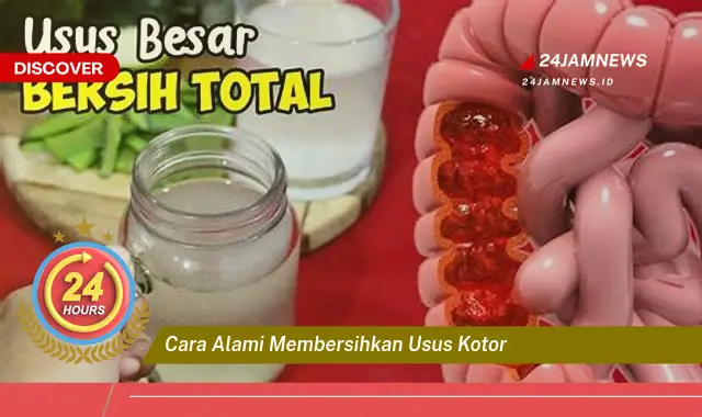 cara alami membersihkan usus kotor