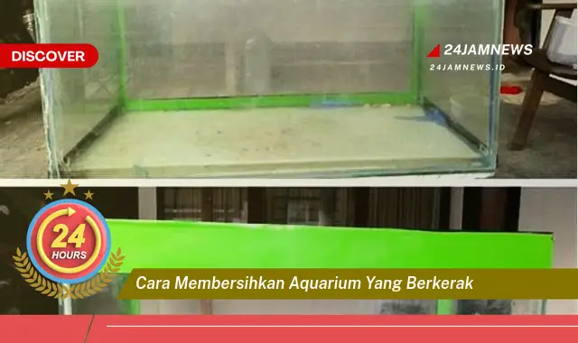 cara membersihkan aquarium yang berkerak