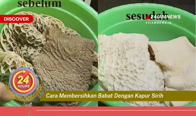 cara membersihkan babat dengan kapur sirih