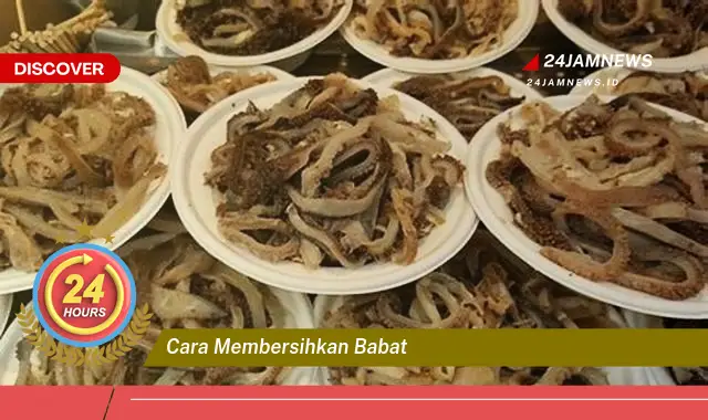 cara membersihkan babat