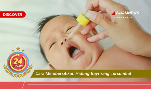 cara membersihkan hidung bayi yang tersumbat