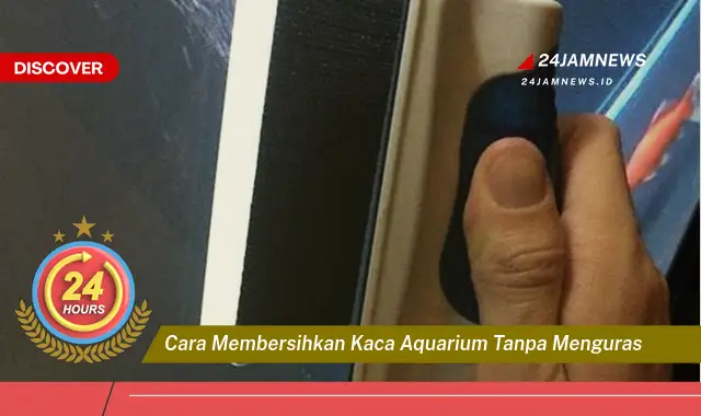 cara membersihkan kaca aquarium tanpa menguras