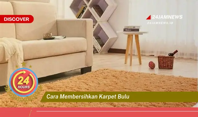 cara membersihkan karpet bulu