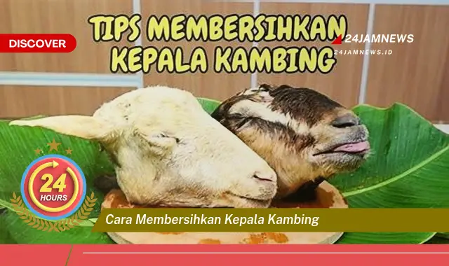 cara membersihkan kepala kambing