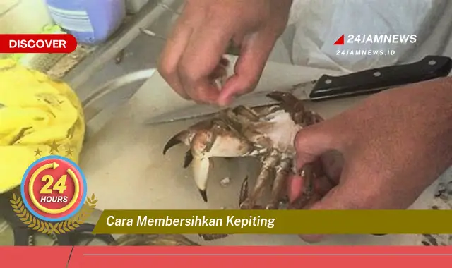 cara membersihkan kepiting