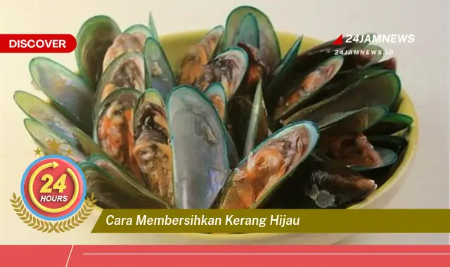 cara membersihkan kerang hijau