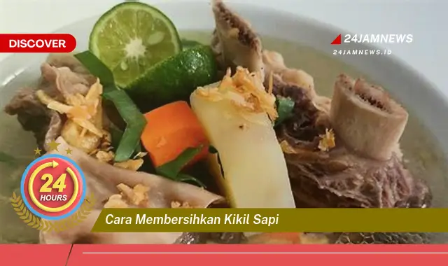cara membersihkan kikil sapi