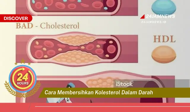 cara membersihkan kolesterol dalam darah