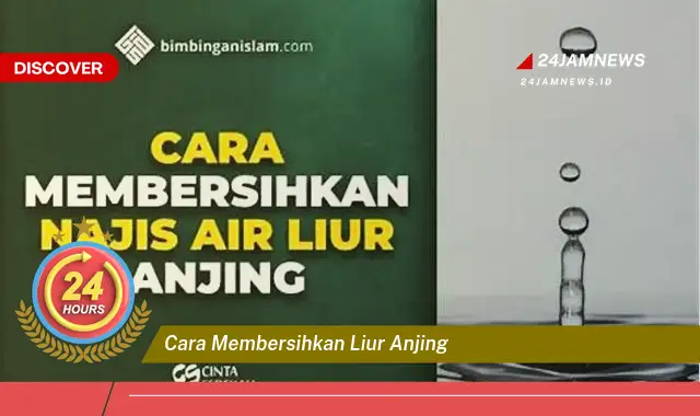 cara membersihkan liur anjing