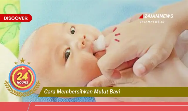 cara membersihkan mulut bayi