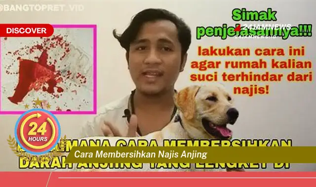 cara membersihkan najis anjing