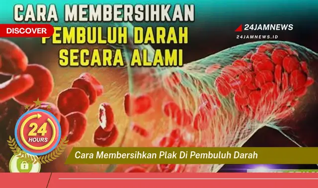 cara membersihkan plak di pembuluh darah