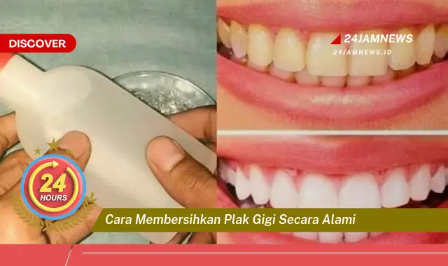 cara membersihkan plak gigi secara alami