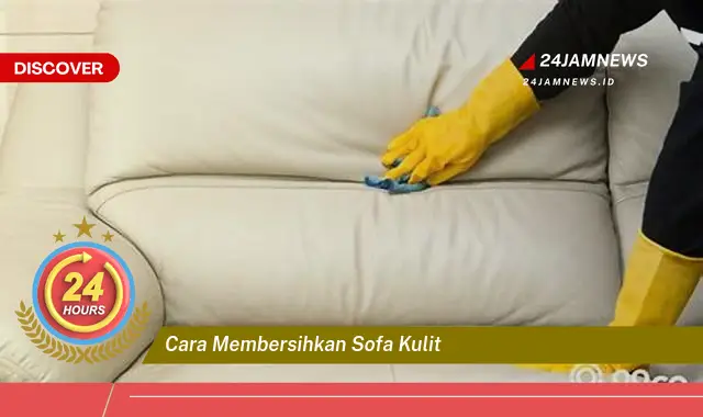 cara membersihkan sofa kulit