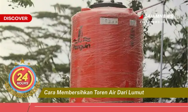 cara membersihkan toren air dari lumut