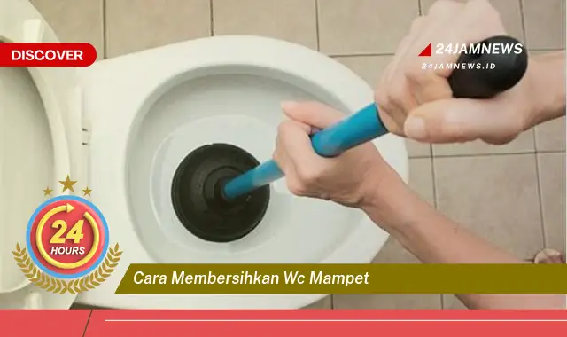 cara membersihkan wc mampet