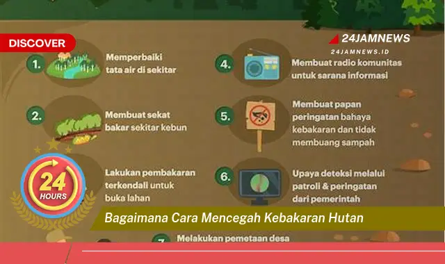 bagaimana cara mencegah kebakaran hutan
