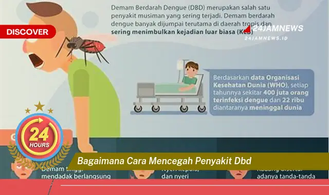 bagaimana cara mencegah penyakit dbd