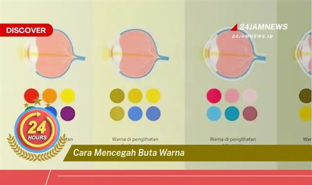 cara mencegah buta warna