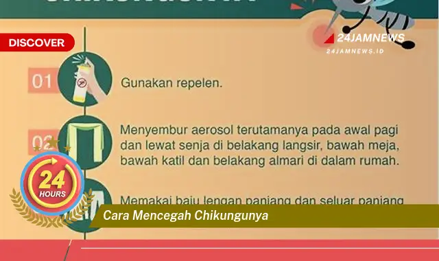cara mencegah chikungunya