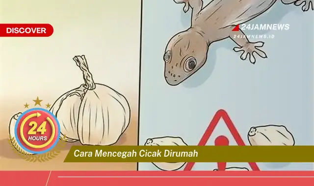 cara mencegah cicak dirumah