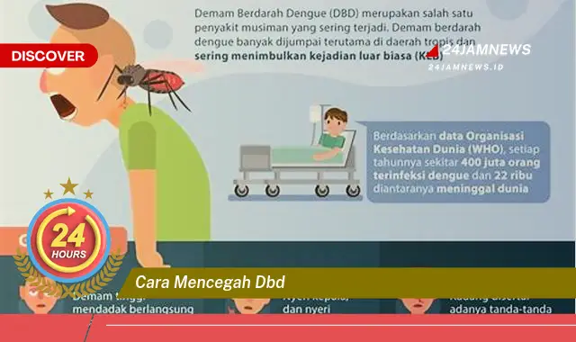 cara mencegah dbd cara mencegah dbd