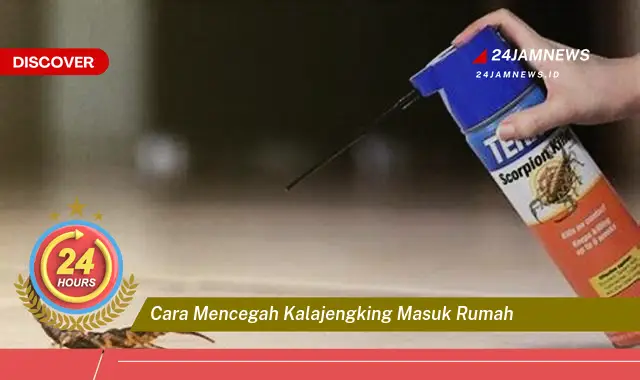 cara mencegah kalajengking masuk rumah