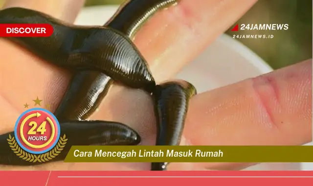 cara mencegah lintah masuk rumah