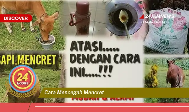 cara mencegah mencret