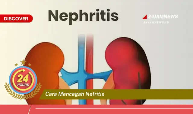 cara mencegah nefritis