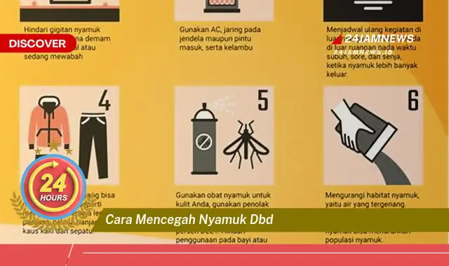 cara mencegah nyamuk dbd