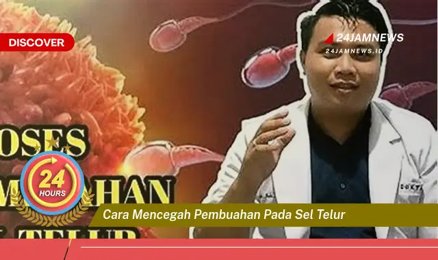 cara mencegah pembuahan pada sel telur