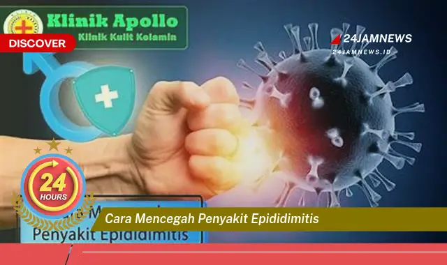 cara mencegah penyakit epididimitis