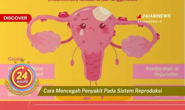 cara mencegah penyakit pada sistem reproduksi