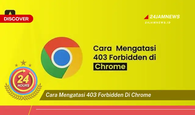 cara mengatasi 403 forbidden di chrome