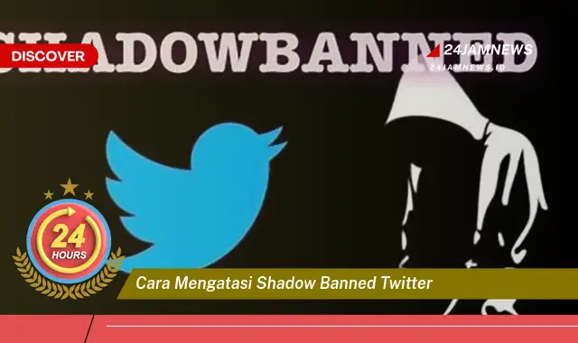 cara mengatasi shadow banned twitter