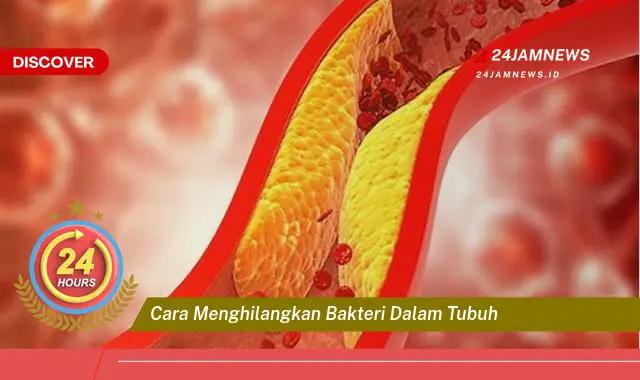 cara menghilangkan bakteri dalam tubuh