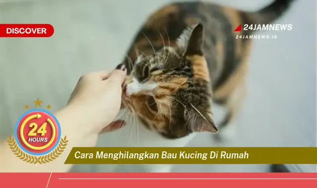 cara menghilangkan bau kucing di rumah cara menghilangkan bau kucing di rumah