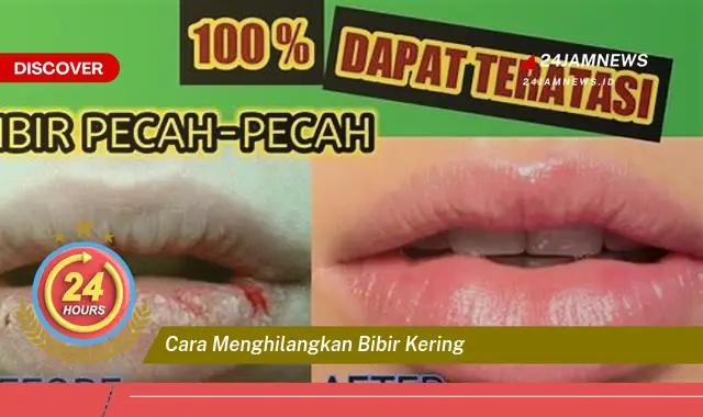 cara menghilangkan bibir kering