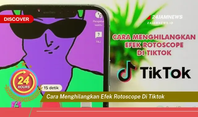cara menghilangkan efek rotoscope di tiktok