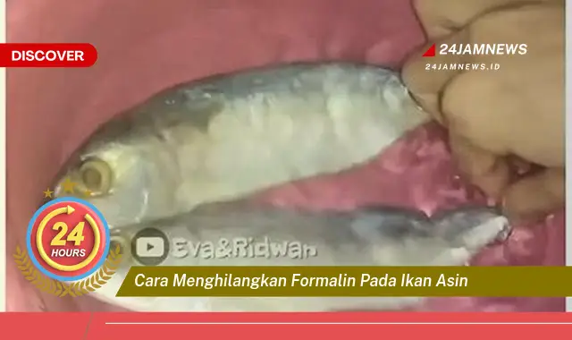 cara menghilangkan formalin pada ikan asin