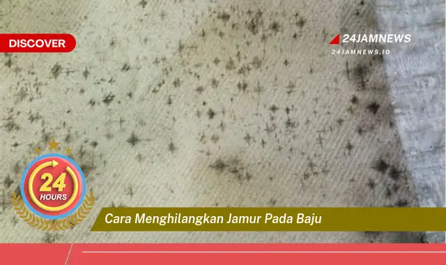 cara menghilangkan jamur pada baju