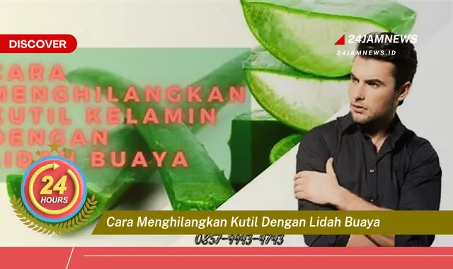 cara menghilangkan kutil dengan lidah buaya