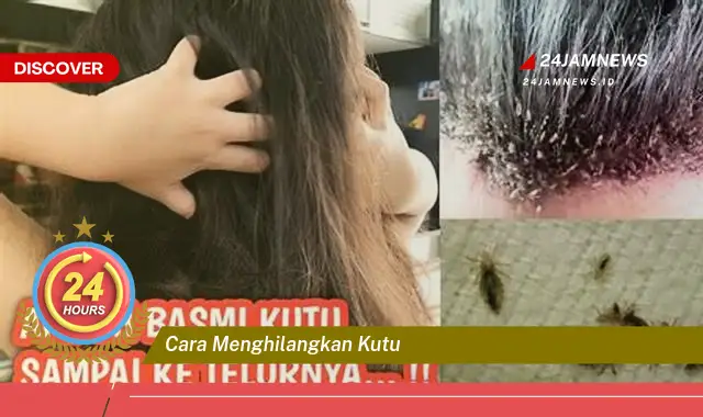 cara menghilangkan kutu