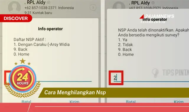 cara menghilangkan nsp