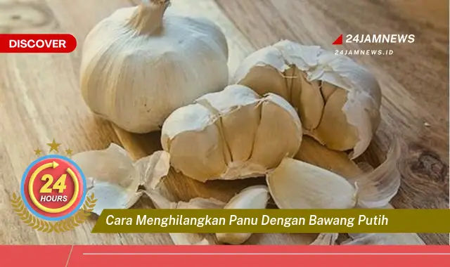 cara menghilangkan panu dengan bawang putih cara menghilangkan panu dengan bawang putih