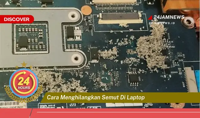 cara menghilangkan semut di laptop