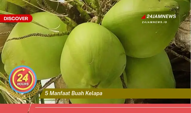 Temukan 5 Manfaat Buah Kelapa untuk Kesehatan dan Kecantikan Anda Temukan 5 Manfaat Buah Kelapa untuk Kesehatan dan Kecantikan Anda