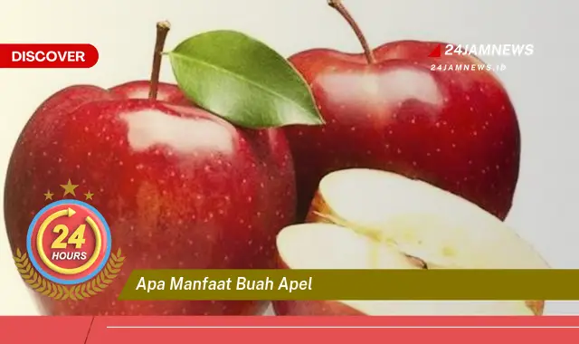 Temukan Manfaat Buah Apel untuk Kesehatan, Kecantikan, dan Diet Anda