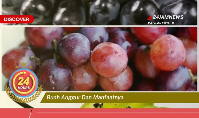 Temukan Manfaat Buah Anggur untuk Kesehatan Tubuh Anda